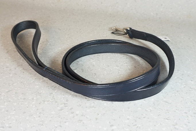Hundeleine BASIC fix in Blau