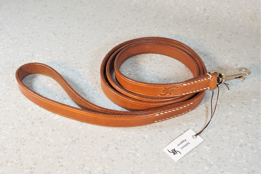 Hundeleine BASIC fix in Natur