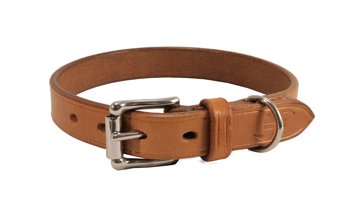 Hundehalsband BASIC