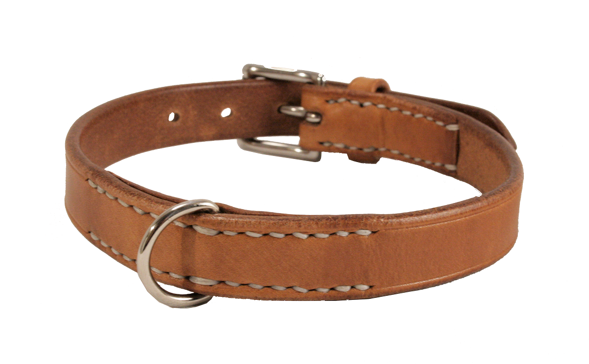 Hundehalsband BASIC