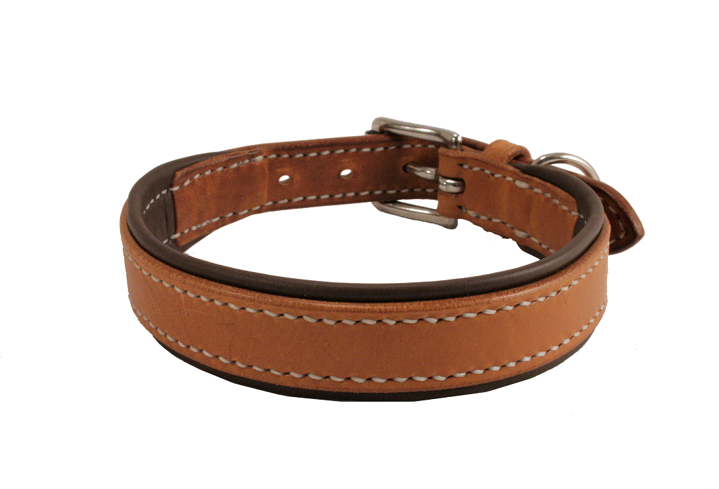 Hundehalsband PREMIUM