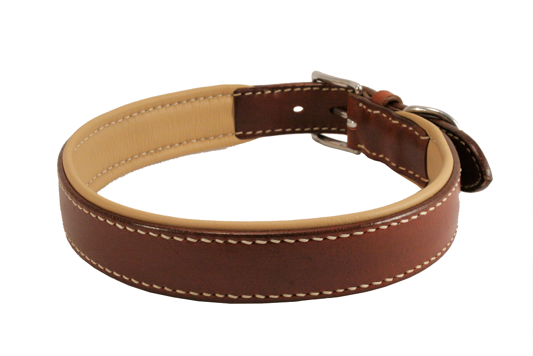 Hundehalsband PREMIUM