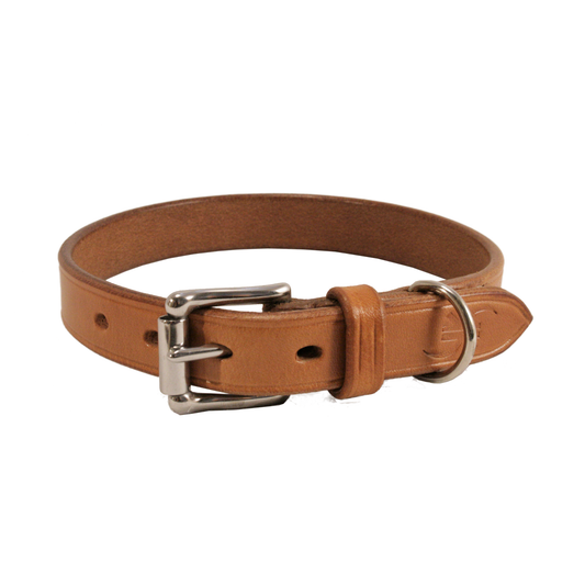 Hundehalsband BASIC