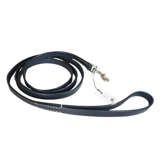 Hundeleine BASIC fix in Blau