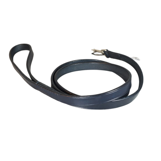 Hundeleine BASIC fix in Blau