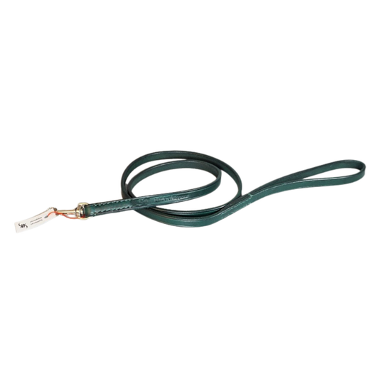Hundeleine BASIC fix in Grün