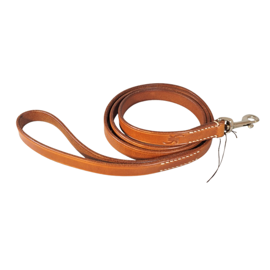 Hundeleine BASIC fix in Natur