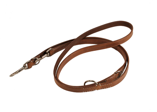 Hundeleine BASIC verstellbar